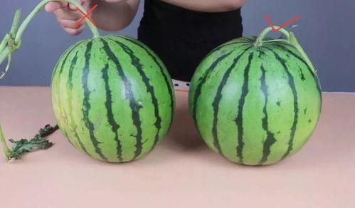 孕妇吃土瓜会升糖,血糖水平升高的潜在影响